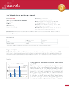 SAP30 Polyclonal Antibody - Classic