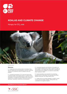 Koalas and Climate Change