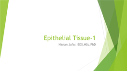 Epithelial Tissue 1