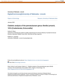 Cladistic Analysis of the Pennatulacean Genus <I>Renilla</I