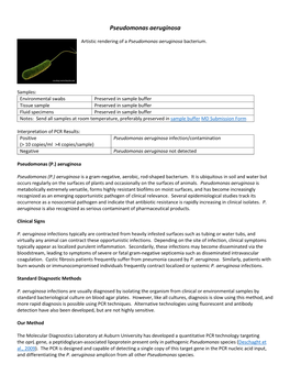 Pseudomonas Aeruginosa