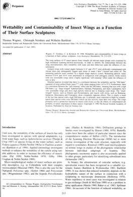 Wettability and Contaminability of Insect Wings As a Function of Their Surface Sculptures