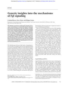 Genetic Insights Into the Mechanisms of Fgf Signaling