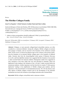 The Fibrillar Collagen Family