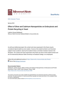 Effect of Silver and Cadmium Nanoparticles on Endocytosis and Protein Recycling in Yeast