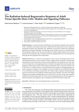 The Radiation-Induced Regenerative Response of Adult Tissue-Specific