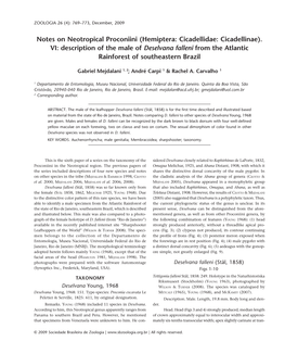 (Hemiptera: Cicadellidae: Cicadellinae). VI: Description of the Male of Deselvana Falleni from the Atlantic Rainforest of Southeastern Brazil