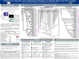 Introduction Phylogenetic Analysis Objectives Discussion And