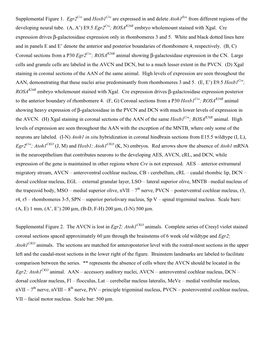 Supplemental Figure 1. Egr2 and Hoxb1 Are Expressed in and Delete