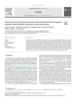 The Cryo-Electron Microscopy Structure of Broad Bean Stain Virus