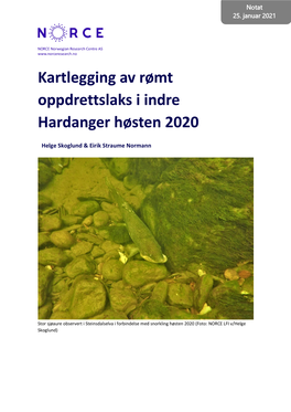 Kartlegging Av Rømt Oppdrettslaks I Indre Hardanger Høsten 2020