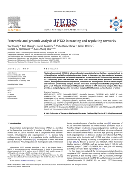 Proteomic and Genomic Analysis of PITX2 Interacting and Regulating Networks