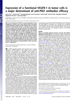 Expression of a Functional VEGFR-1 in Tumor Cells Is a Major Determinant of Anti-Plgf Antibodies Efﬁcacy