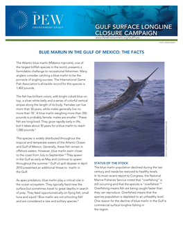 Blue Marlin in the Gulf of Mexico: the Facts