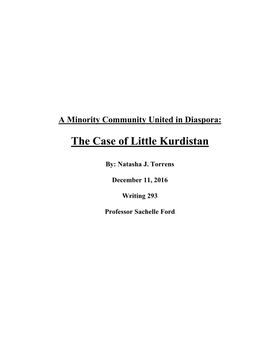 The Case of Little Kurdistan