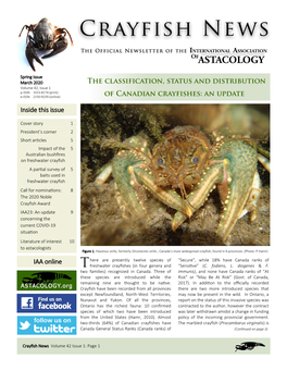 Crayfish News Volume 42 Issue 1: Page 1 in This Spring, Coronavirus Disease (COVID-19) Is Spreading Worldwide, Affecting Countries of Almost All IAA Members