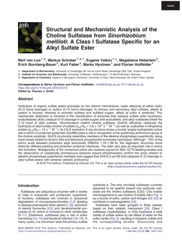 Structural and Mechanistic Analysis of the Choline Sulfatase from Sinorhizobium Melliloti: a Class I Sulfatase Specific for an Alkyl Sulfate Ester