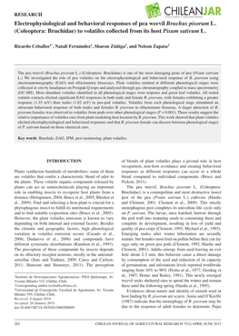 Electrophysiological and Behavioral Responses of Pea Weevil Bruchus Pisorum L. (Coleoptera: Bruchidae) to Volatiles Collected from Its Host Pisum Sativum L