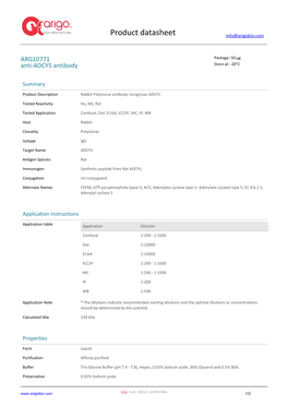 Anti-ADCY5 Antibody (ARG10771)