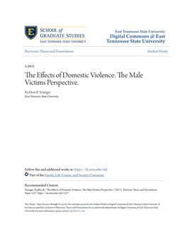 The Effects of Domestic Violence: the Male Victims Perspective