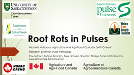 Root Rots in Pulses