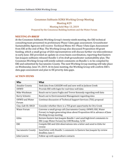 Cosumnes Subbasin SGMA Working Group Meeting Meeting #29 Meeting Held May 13, 2019 Prepared by the Consensus Building Institute and the Water Forum