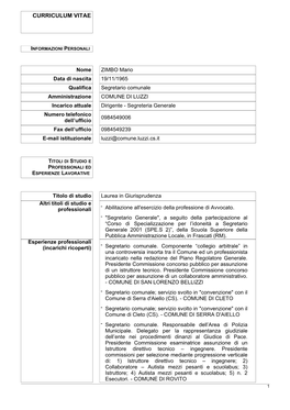 Curriculum Vitae