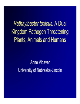 Rathayibacter Toxicus: a Dual Kingdom Pathogen Threatening Plants, Animals and Humans