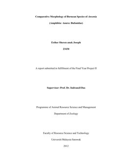 Comparative Morphology of Bornean Species of Ansonia (Amphibia