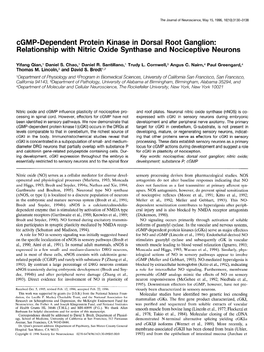 Cgmp-Dependent Protein Kinase in Dorsal Root Ganglion: Relationship with Nitric Oxide Synthase and Nociceptive Neurons