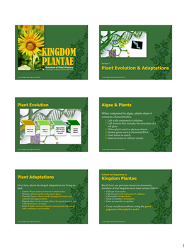 Kingdom Plantae Foldable Notes Plant Evolution & Adaptations