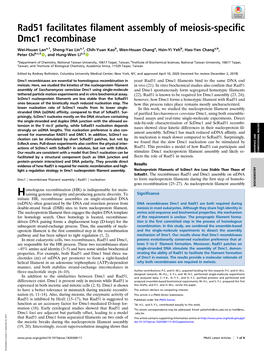 Rad51 Facilitates Filament Assembly of Meiosis-Specific Dmc1 Recombinase