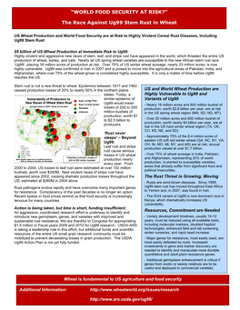 The Race Against Ug99 Stem Rust in Wheat