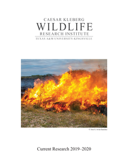 Current Research 2019–2020 This Year’S Cover Features a Photograph of Gulf Cordgrass Being Treated with Prescribed Fire