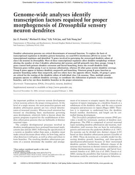 Genome-Wide Analyses Identify Transcription Factors Required for Proper Morphogenesis of Drosophila Sensory Neuron Dendrites