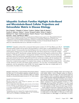 Idiopathic Scoliosis Families Highlight Actin-Based and Microtubule-Based Cellular Projections and Extracellular Matrix in Disease Etiology