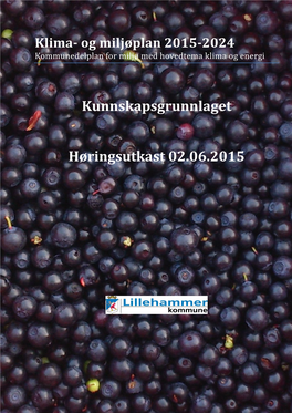 Kunnskapsgrunnlaget Høringsutkast 02.06.2015