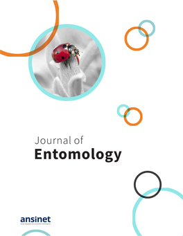 Genetic Variability of Ornithoptera Croesus Toeantei Endemic Butterfly in Morotai Island, Based on Morphology and Molecular