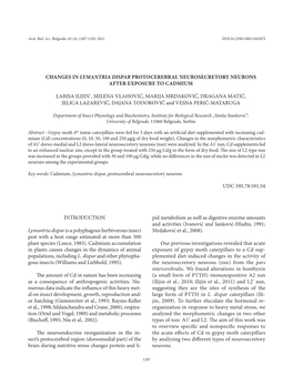 Changes in Lymantria Dispar Protocerebral Neurosecretory Neurons After Exposure to Cadmium