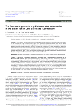 The Freshwater Grass Shrimp Palaemonetes Antennarius in the Diet of ﬁsh in Lake Bracciano (Central Italy)