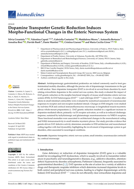 Dopamine Transporter Genetic Reduction Induces Morpho-Functional Changes in the Enteric Nervous System