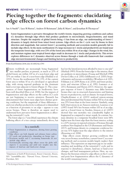 Elucidating Edge Effects on Forest Carbon Dynamics