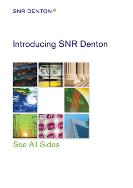 Introducing SNR Denton