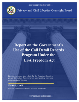 Report on the Government's Use of the Call Detail Records Program