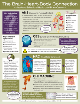 The Brain-Heart-Body Connection - Meadows Behavioral Healthcare Brain Centers