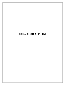 Risk Assessment Report