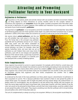 Attracting and Promoting Pollinator Variety in Your Backyard