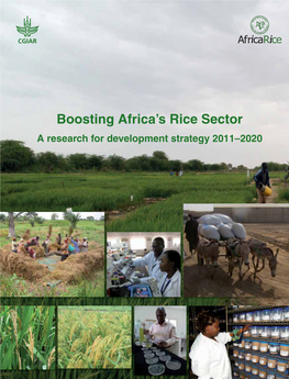 Boosting Africa's Rice Sector 2011-2020