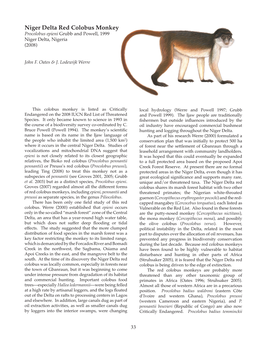 Niger Delta Red Colobus Monkey Procolobus Epieni Grubb and Powell, 1999 Niger Delta, Nigeria (2008)