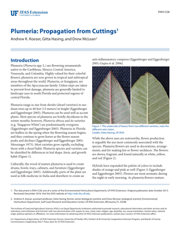 Plumeria: Propagation from Cuttings1 Andrew K